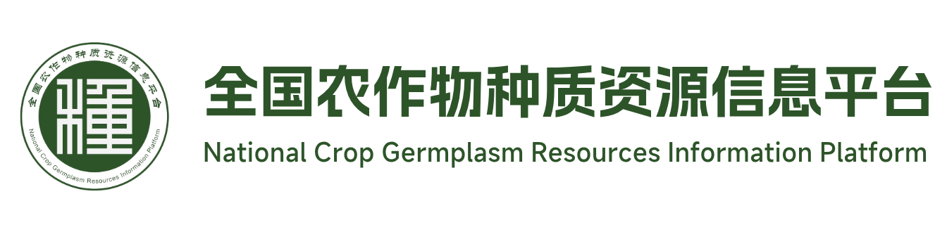 资源库